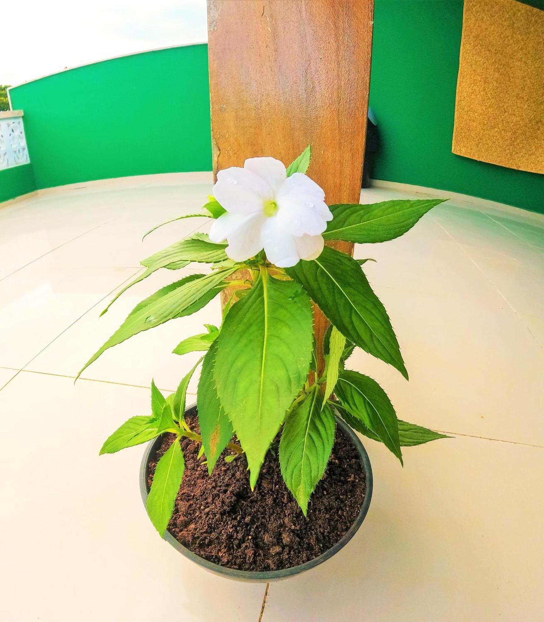 איטה קרה Praieira Hostel&Pousada מראה חיצוני תמונה