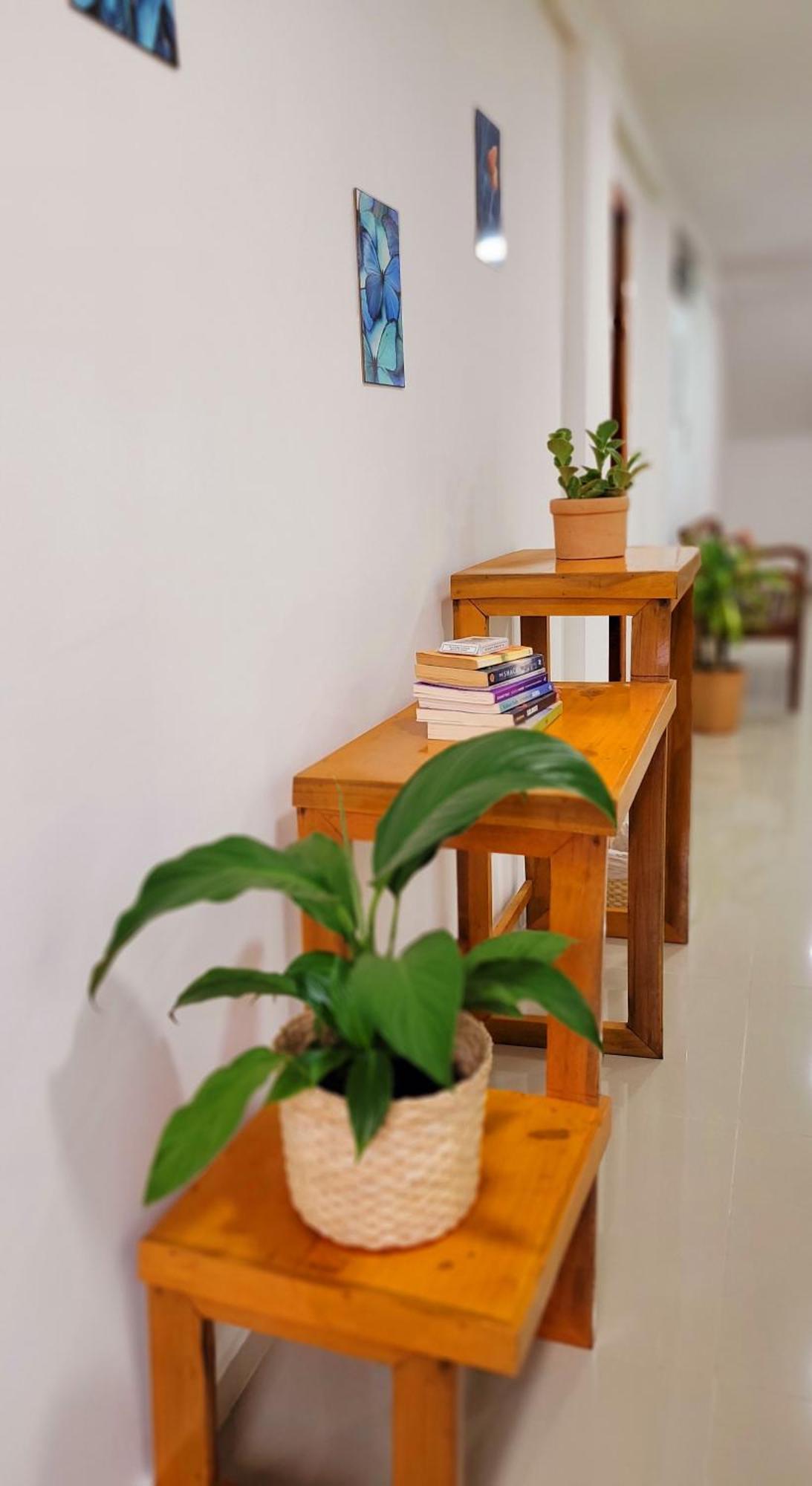 איטה קרה Praieira Hostel&Pousada מראה חיצוני תמונה